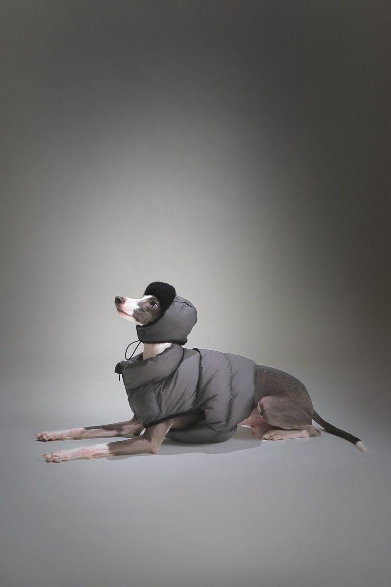 Ulahound星际系面包背心-宠物羽绒棉保暖背心马甲(外套) - 衣/帽 - 聚酯纤维