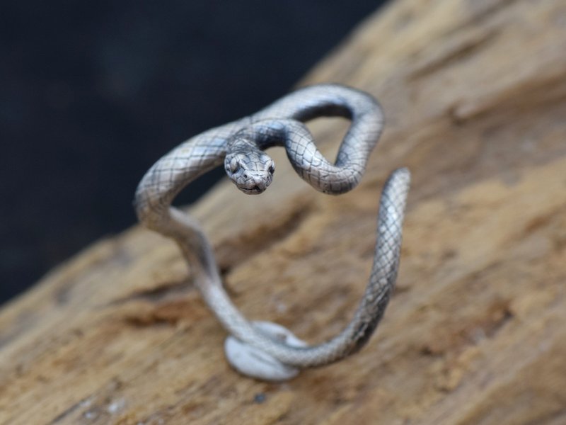 蛇形戒指、玉米蛇银戒指 - 戒指 - 其他金属 银色