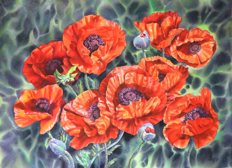Poppies original watercolor painting by artist Irina Zhunaeva - 墙贴/壁贴 - 纸 红色