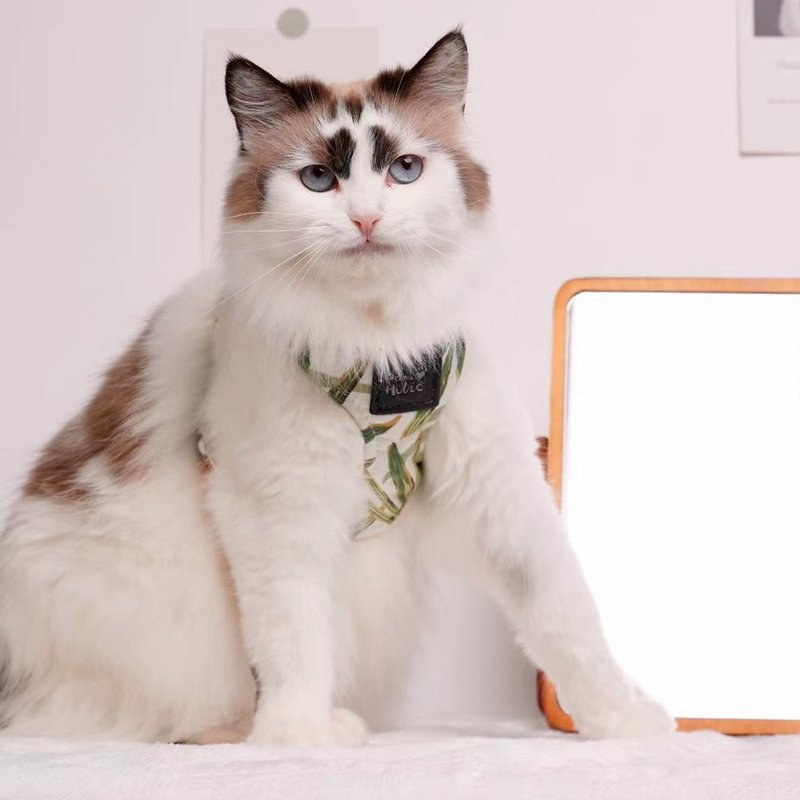 棉质亲肤/环绕设计/不易挣脱 | 猫胸背-热带雨林 Pawsholic爪迷 - 项圈/牵绳 - 棉.麻