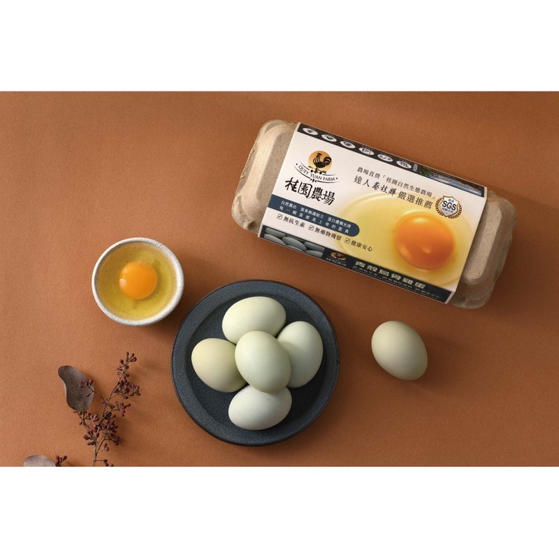 【桂园农场】严选系列-青壳乌骨鸡蛋(4盒) - 其他 - 其他材质