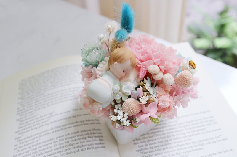 酣睡宝贝 I 永生花 · 不凋花 - 花瓶/陶器 - 植物.花 粉红色