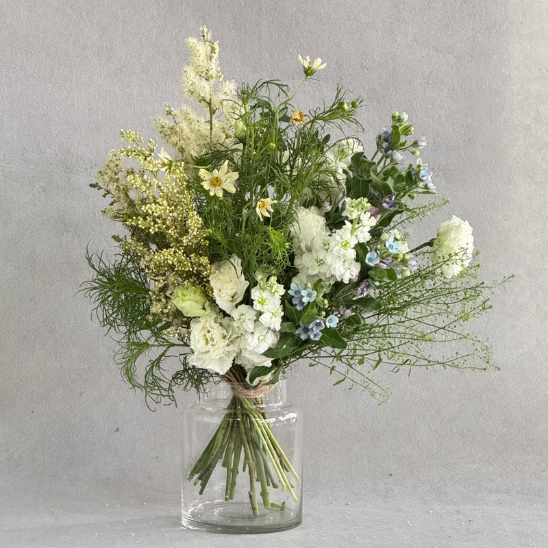 Petal Forest - 植栽/盆栽 - 植物.花