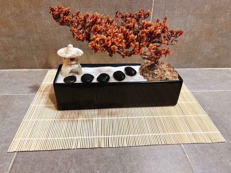 纯自然 日式 侘寂风wabi-sabi 赤贫风 禅庭盆栽 枯山水 zen 干燥 - 植栽/盆栽 - 植物.花 橘色