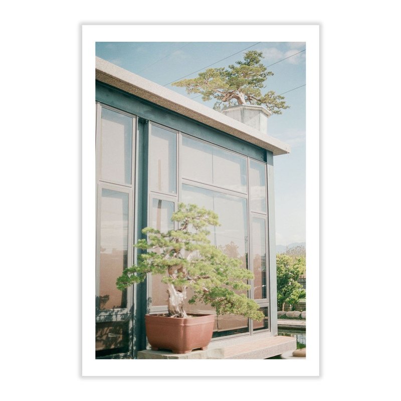 Taiwan Postcard, Real Photo Postcard, 4x6 Postcard - 卡片/明信片 - 纸