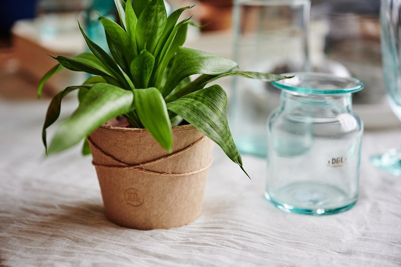 D&L 纸浆盆栽组  六入 - 植栽/盆栽 - 环保材料