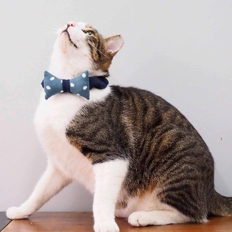 新竹手作体验课程—毛小孩项圈/宠物项圈 蝴蝶结款 - 编织/羊毛毡/布艺 - 棉.麻