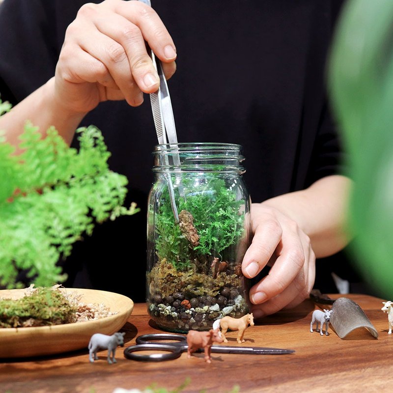 瓶中森林系 / 仙人掌多肉微造景盆栽 手作体验活动 - 植栽 - 植物.花