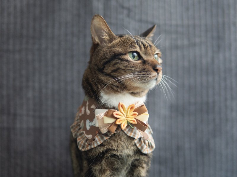 【红叶・もみじ】宠物领巾 猫咪/狗狗 花花 布花 枫叶领巾 - 橙 - 项圈/牵绳 - 棉.麻 橘色