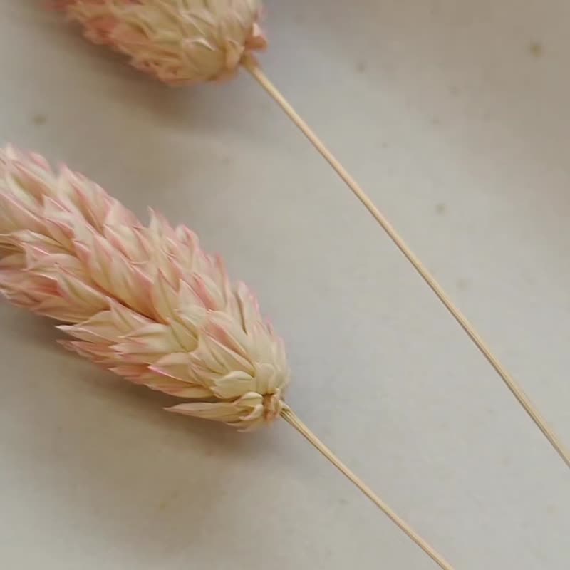 1KM轻浅复古感•花式锆石小垂坠耳环 - 耳环/耳夹 - 其他金属