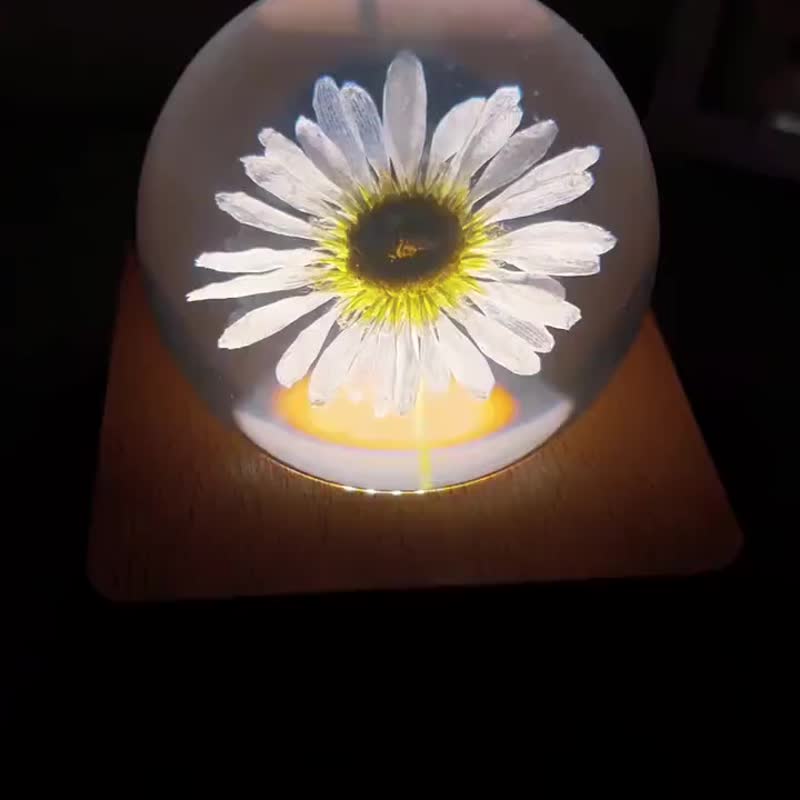 雏菊微光|手作树脂小夜灯 - 摆饰 - 树脂 白色