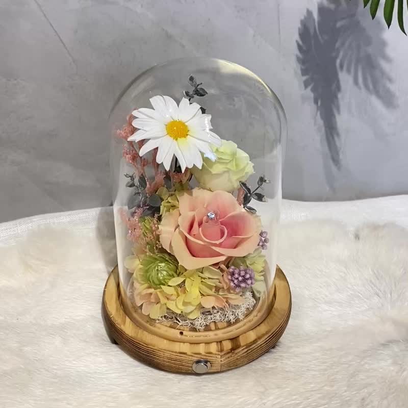小夜灯永生花 情人节 七夕 告白 玛格丽特 - 干燥花/捧花 - 植物.花 橘色