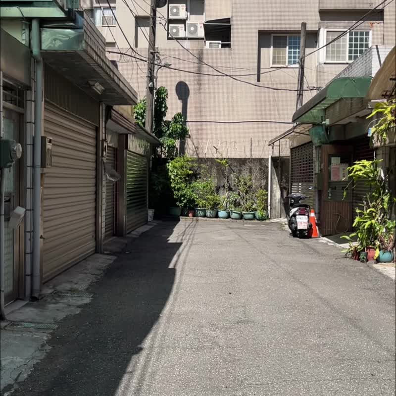 【客制】达摩不倒翁-橘子/猫咪胡须收集器/猫咪脸订制 - 摆饰 - 羊毛 橘色