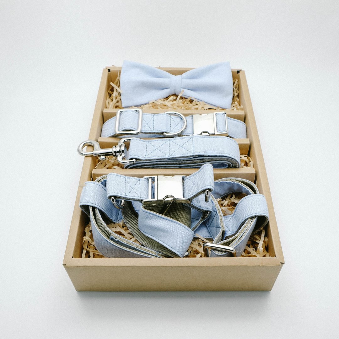Bowtie Collar Plaid with Leash and Harness - 项圈/牵绳 - 其他材质 多色