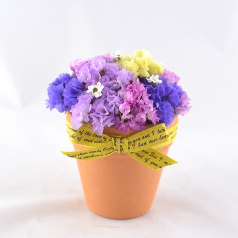 干燥花盆栽-星辰庆典 干燥花 星辰 盆栽 紫色 交换礼物 生日礼物 居家摆饰 办公室小物 舒压小物 疗愈系 - 植栽/盆栽 - 植物．花 紫色