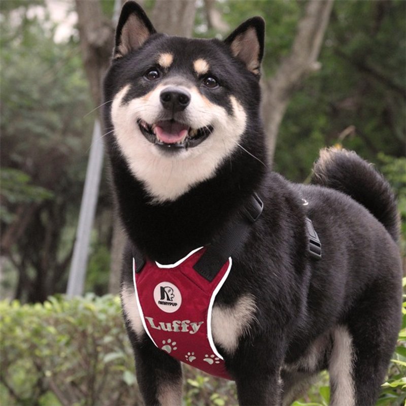 [NINKYPUP反光胸背牵绳组] 脚印款 姓名订制--安全PLUS系列 - 衣/帽 - 棉．麻 多色