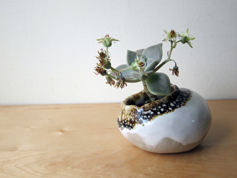 雪靴 - 植栽/盆栽 - 其他材质 白色