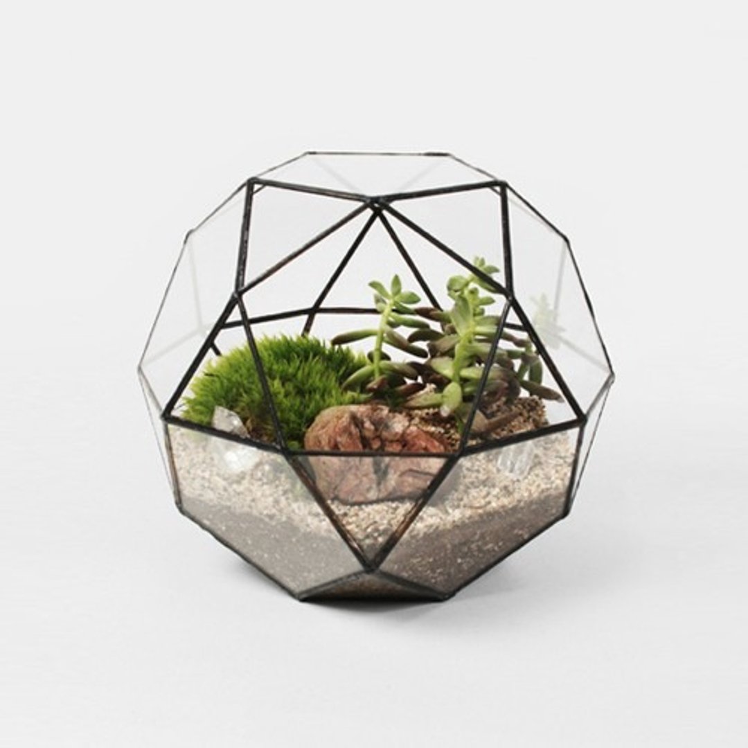Icosidode 花器 | Score+Solder - 植栽/盆栽 - 玻璃 黑色