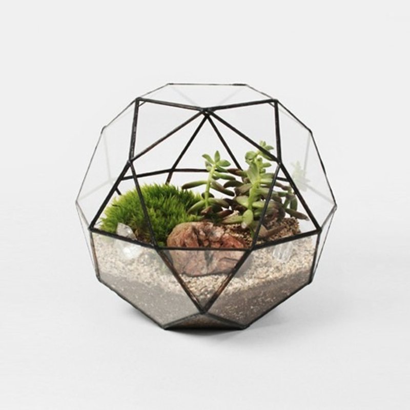 Icosidode 花器 | Score+Solder - 植栽/盆栽 - 玻璃 黑色