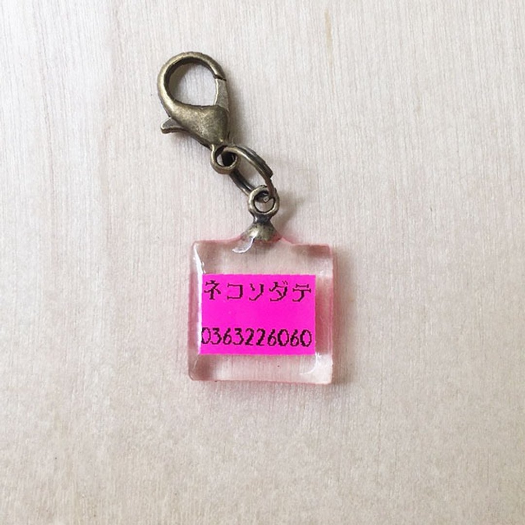 Lost card for cats, double-sided type 4 colors available Gold, black, pink, aqua - 衣/帽 - 防水材质 金色