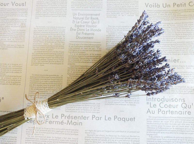 微甜·圈 南法 普罗旺斯 进口薰衣草香 蕾丝 小花束 干燥小花束 - 植栽/盆栽 - 植物．花 紫色