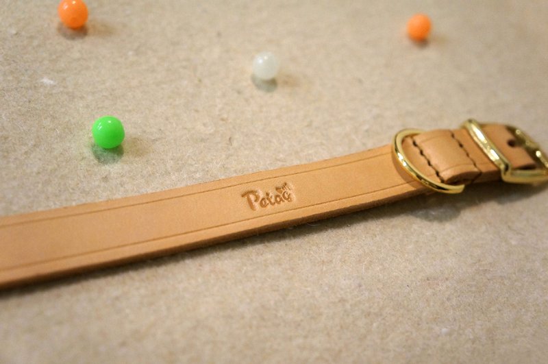 (福利品) 真皮项圈M号 狗项圈 - 项圈/牵绳 - 真皮 金色