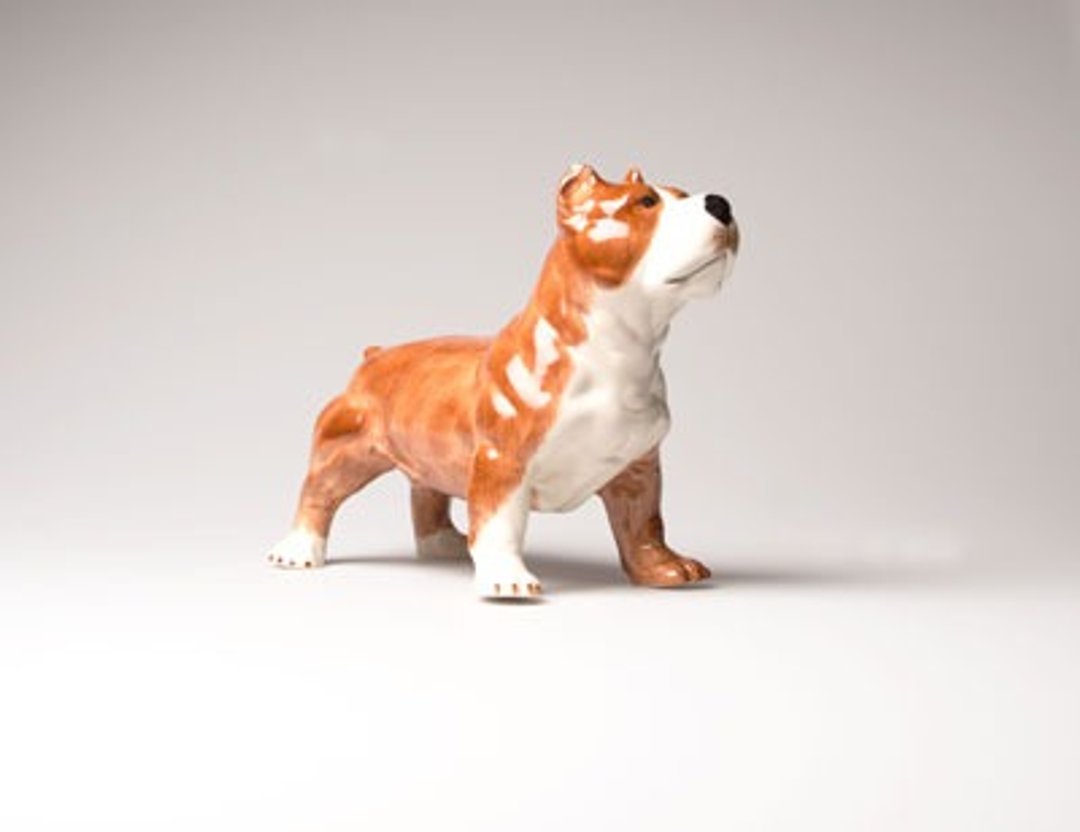 SUSS-英国可爱高质感 斗牛犬/比特犬/牛头犬 造型存钱筒---现货包邮 - 储蓄罐 - 其他材质 咖啡色
