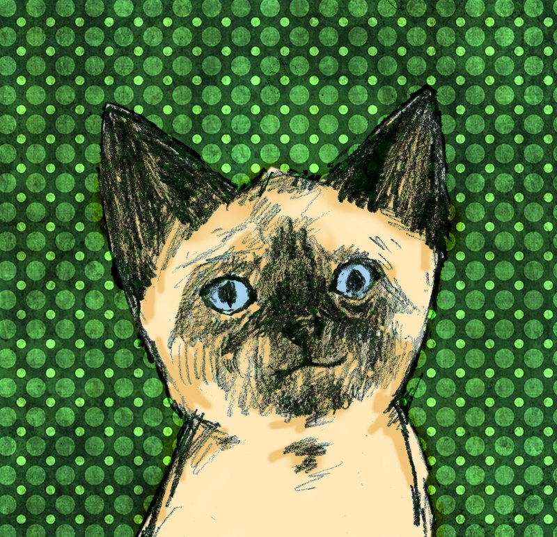 小布丁 /Street Cats浪浪系列 - 贴纸 - 硅胶 绿色