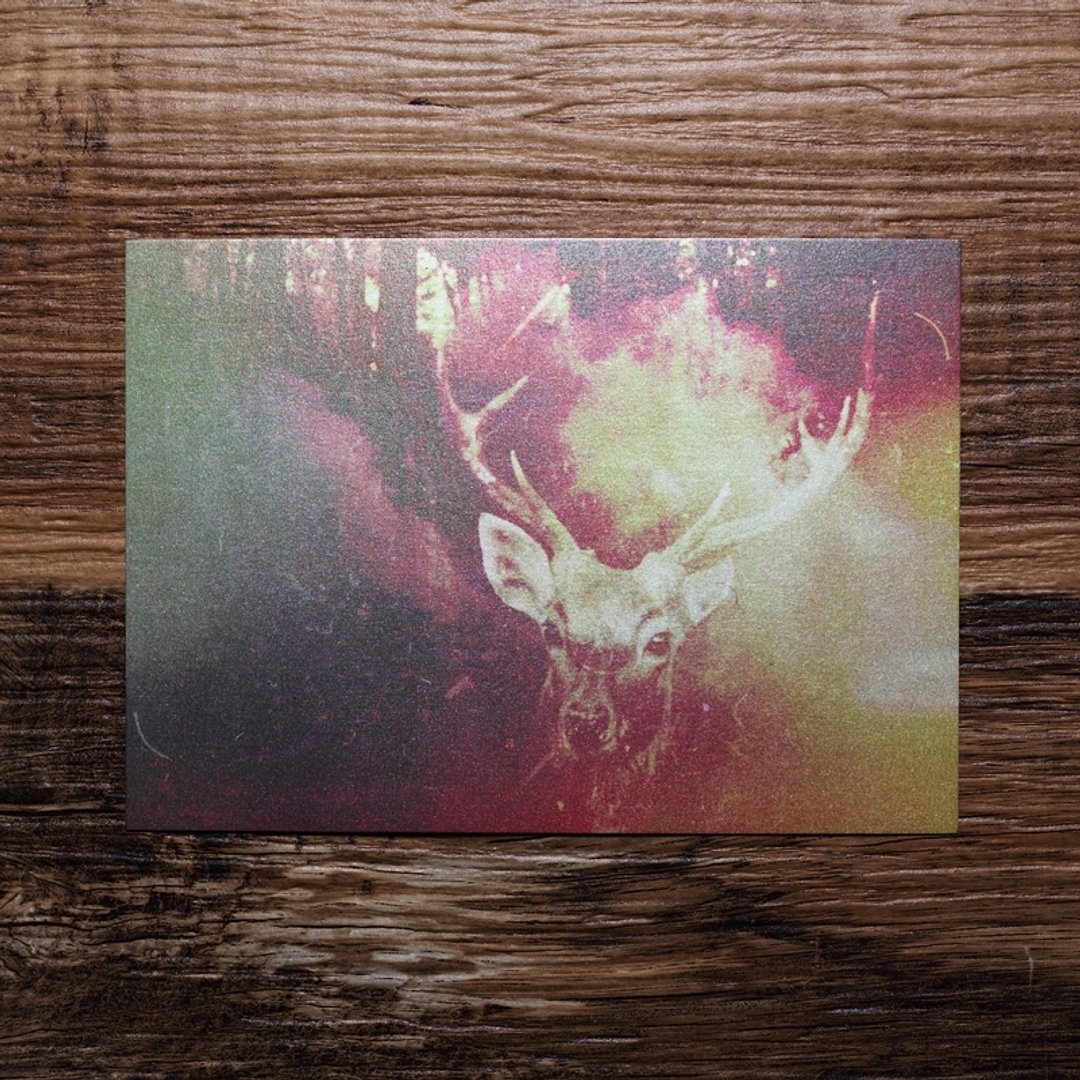 【照片明信片  #13】Photo Postcard | TH1RT3ENDREAMS - 摄影集 - 纸 多色