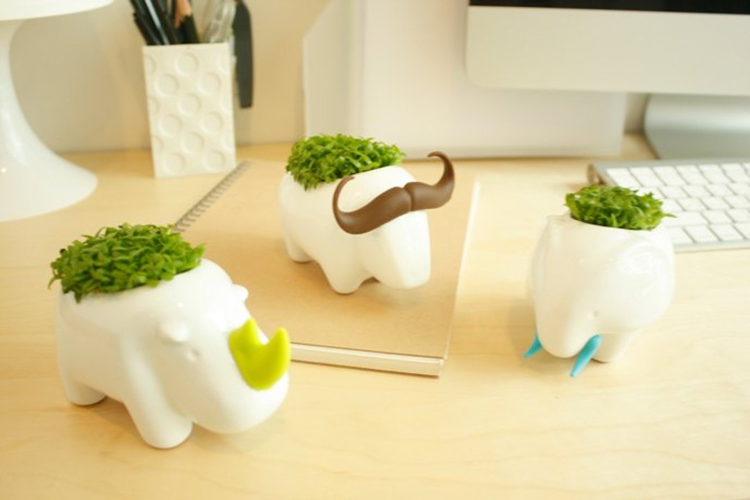 kedo Animal Love 动物土生植栽三入组 - 植栽/盆栽 - 其他材质 