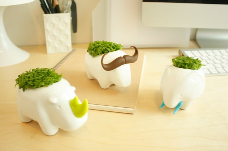 kedo Animal Love 动物土生植栽三入组 - 植栽/盆栽 - 其他材质 