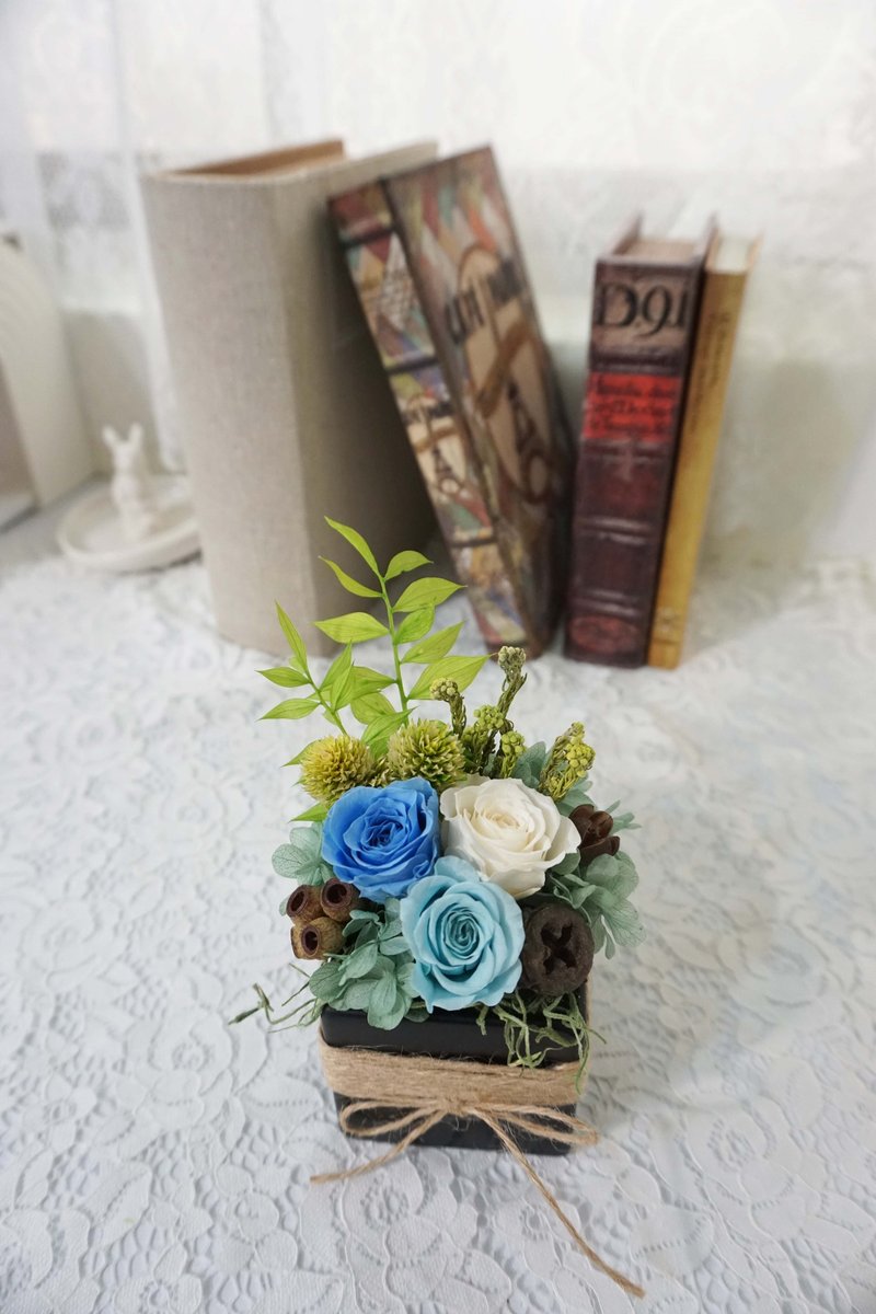 不凋花 恒星花-绿意小栽  父亲节花礼 *交换礼物*情人节*婚礼*生日礼物 - 植栽/盆栽 - 植物．花 绿色