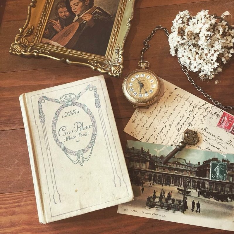 法国老旧小说册（法文） - 刊物/书籍 - 纸 