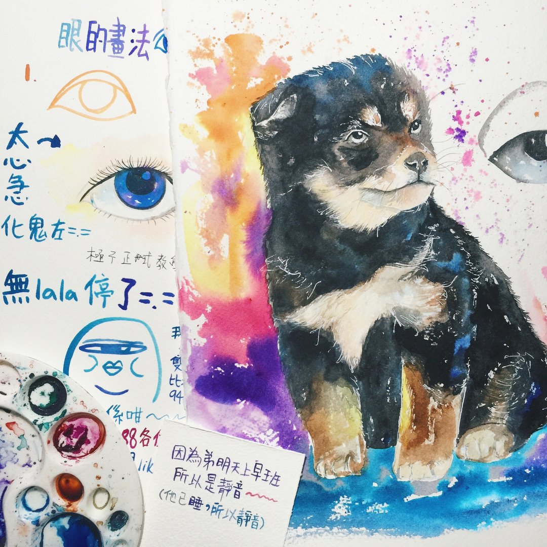 画你PET PET 宠物画订制 - 其他 - 纸 多色