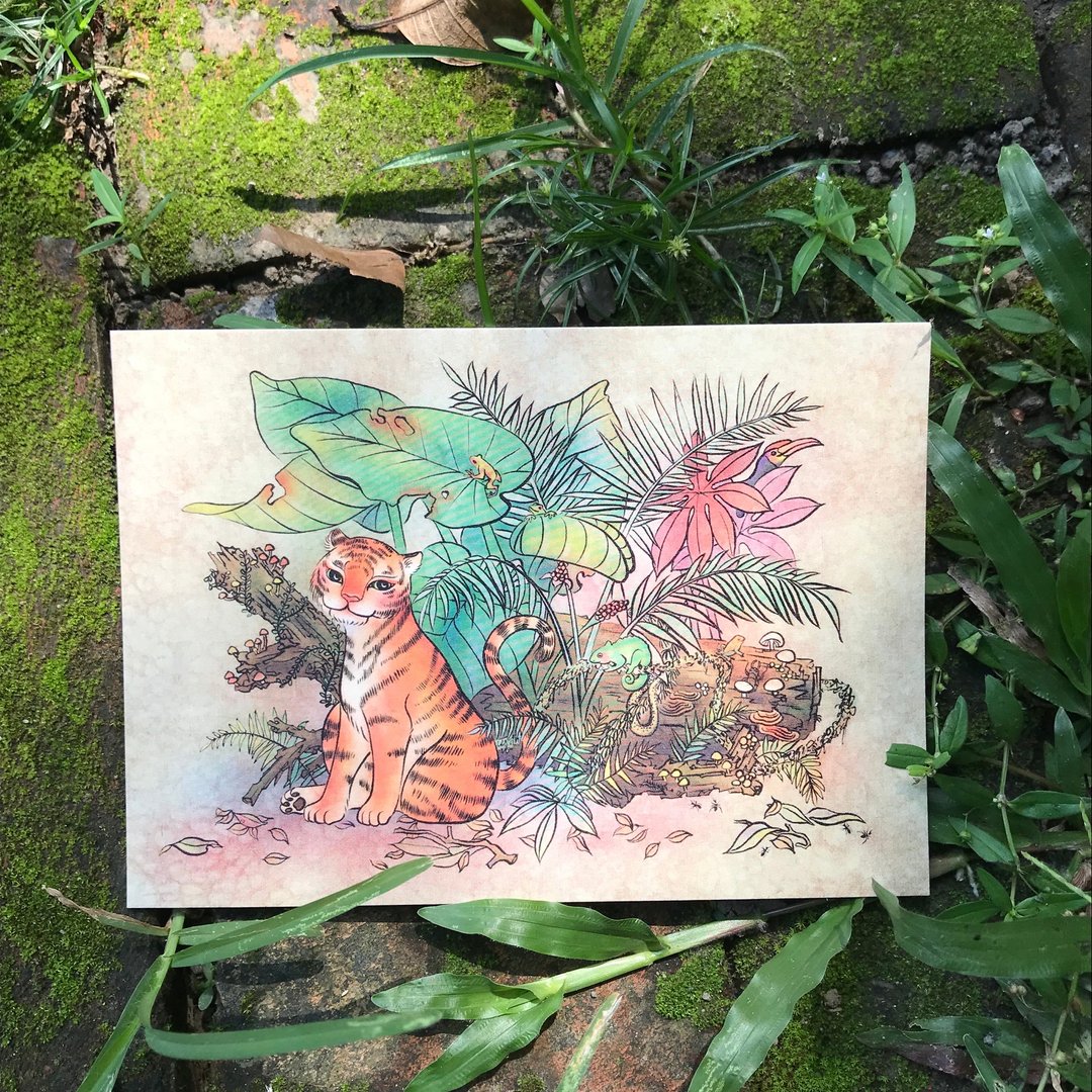 【丛林之王/故事插画明信片】 /老虎/雨林/变色龙 - 卡片/明信片 - 纸 橘色
