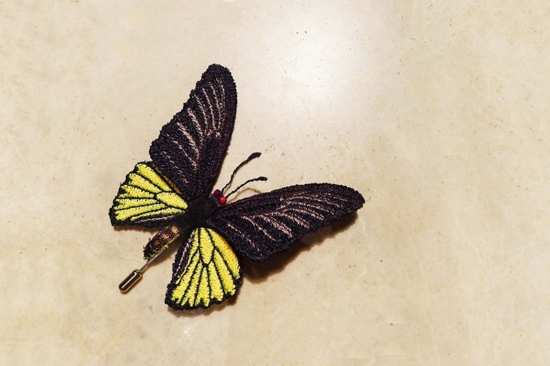 ［织林］珠光凤蝶。胸针 - 胸针 - 其他材质 黄色