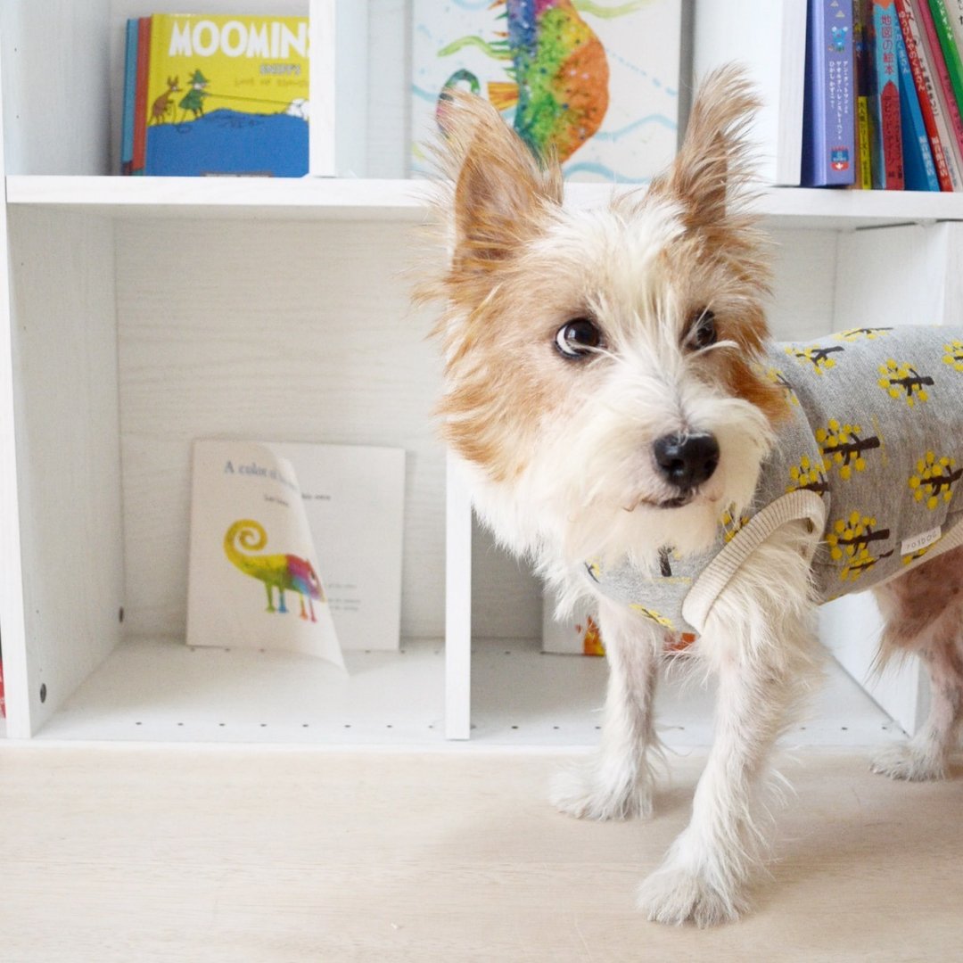 Dog Hoodie Tree  FBS size - 衣/帽 - 其他材质 