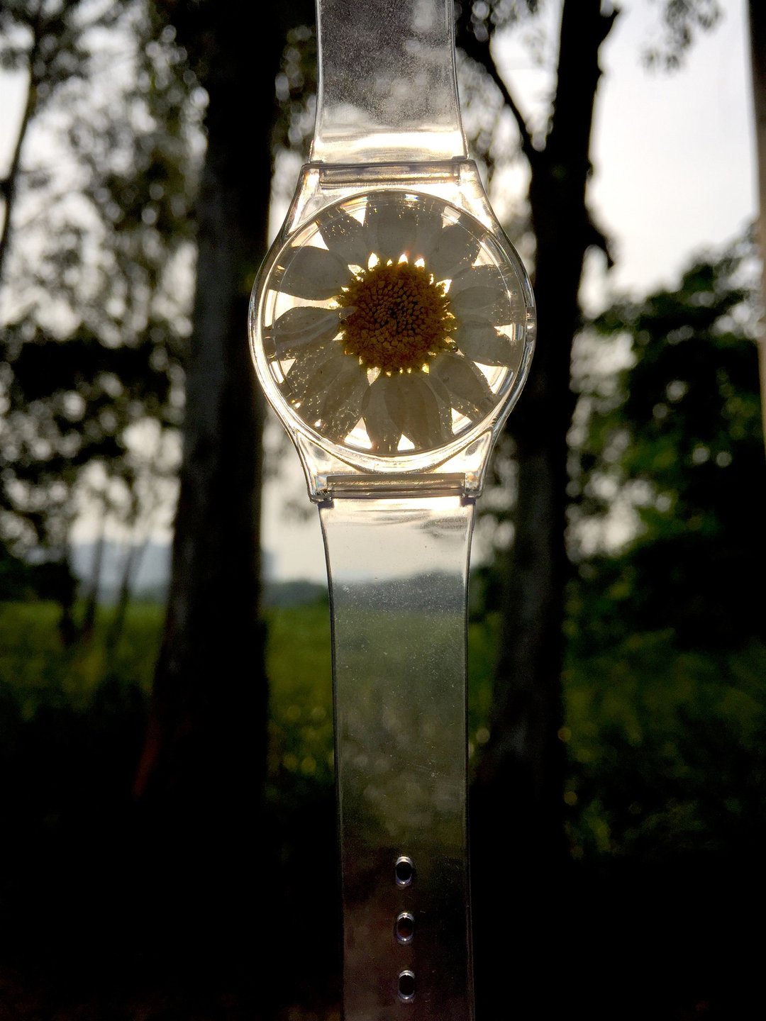 花表 / Flower Watch - 女表 - 塑料 白色