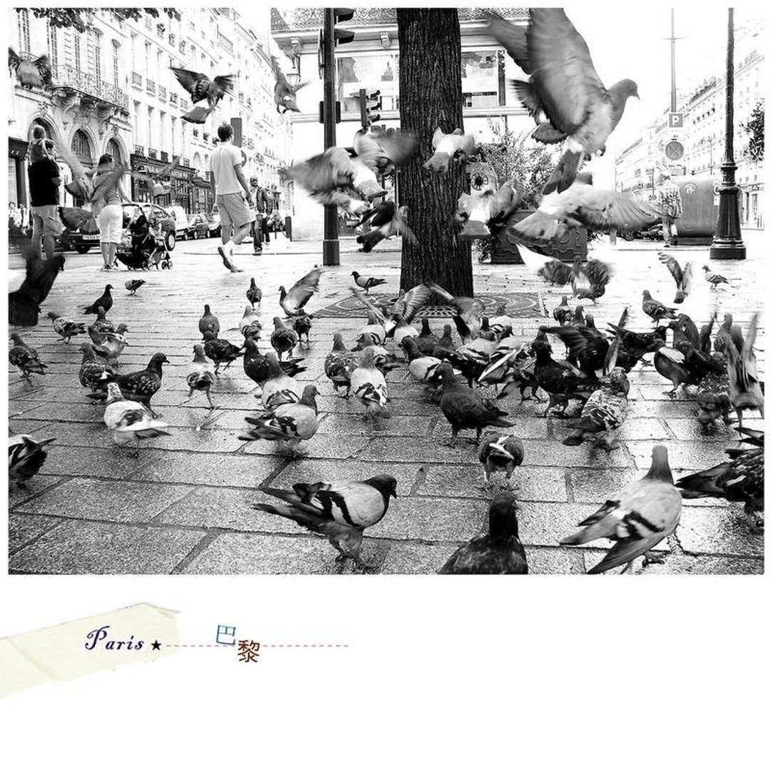 法国旅行摄影明信片 - 卡片/明信片 - 纸 