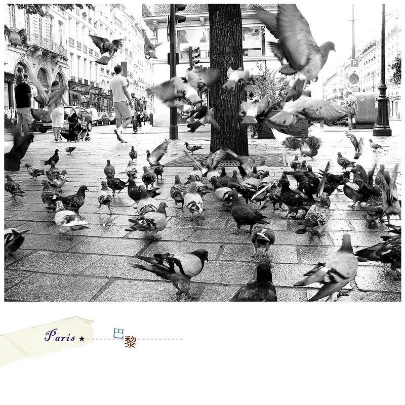 法国旅行摄影明信片 - 卡片/明信片 - 纸 