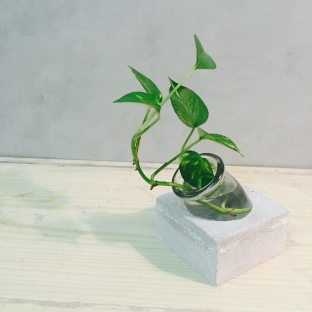 花器/水耕/水泥摆饰 - 植栽/盆栽 - 纸 灰色