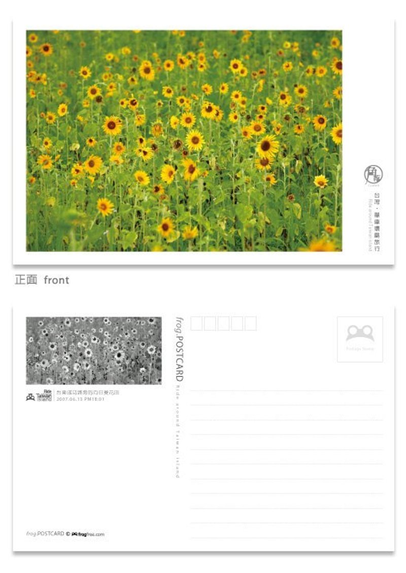 台湾·单车环岛旅行明信片 美的角落系列 - 台东成功路旁的向日葵花田 - 卡片/明信片 - 纸 