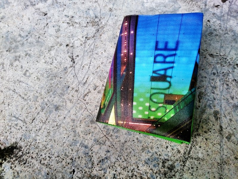 '闪光'-护照紧身衣 - 护照夹/护照套 - 防水材质 