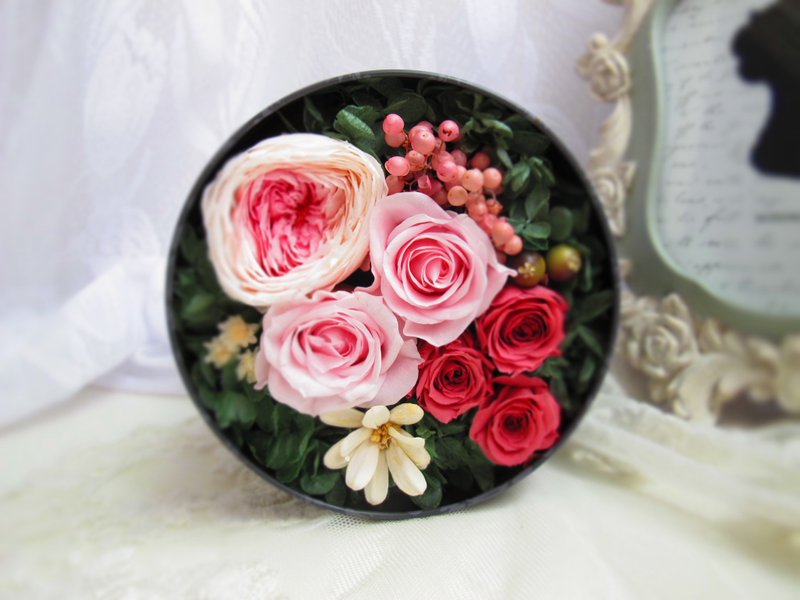 典藏恒星花玫瑰花礼 - 摆饰 - 植物．花 多色