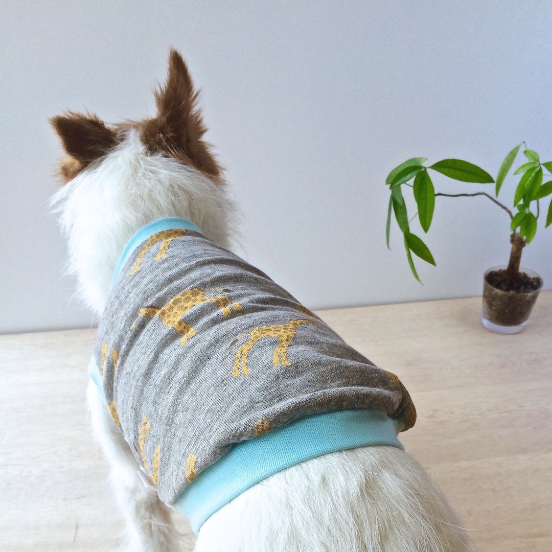 Anti-Mosquito Dog Clothes "Safari" LL/FBS/FBM/FBL - 衣/帽 - 其他材质 