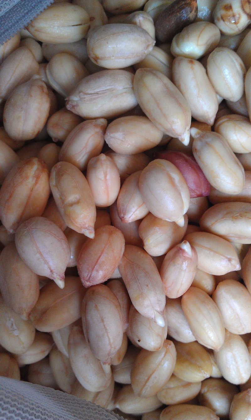 本草堂手作油坊 手工冷压  本土自然栽种农法当季种子 催芽花生油 - 酱料/调味料 - 新鲜食材 白色