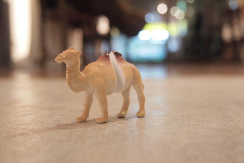 台湾原创 Double M 魔幻动物耳环-骆驼篇 - 耳环/耳夹 - 硅胶 金色