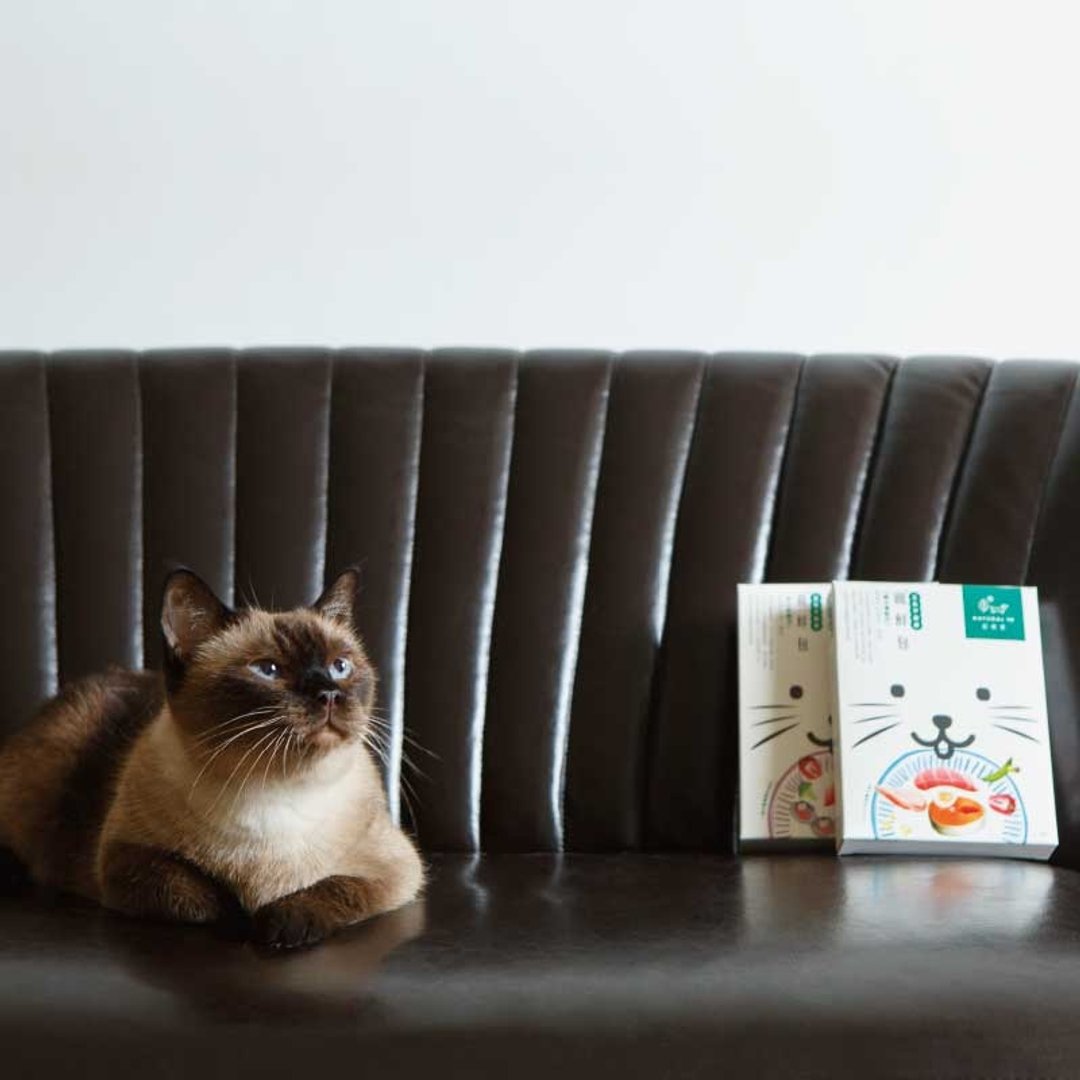 《宠鲜包》【10入家庭号环保包】宠物鲜食.猫咪鲜食 - 猫罐头/鲜食 - 新鲜食材 