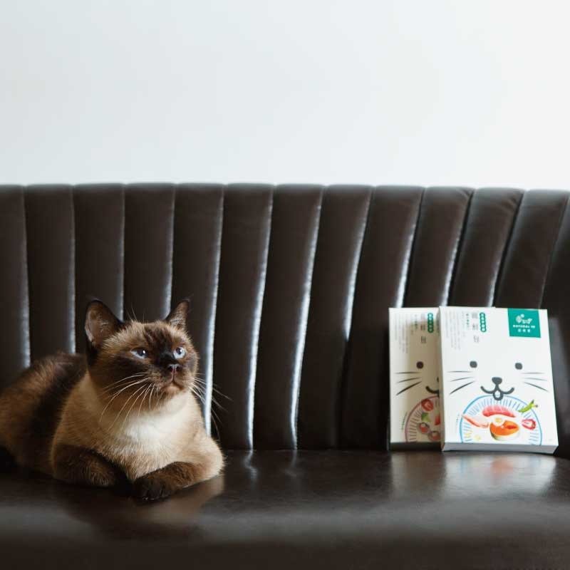 《宠鲜包》【10入家庭号环保包】宠物鲜食.猫咪鲜食 - 猫罐头/鲜食 - 新鲜食材 