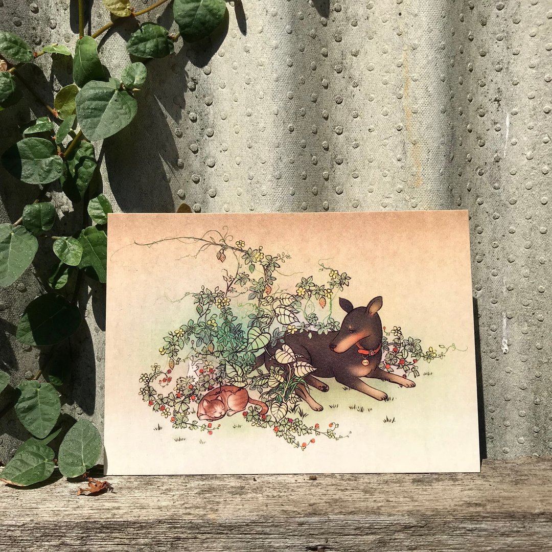 【苦甜梦境/故事插画明信片】 /狗/猫/宠物/兔子 - 卡片/明信片 - 纸 卡其色